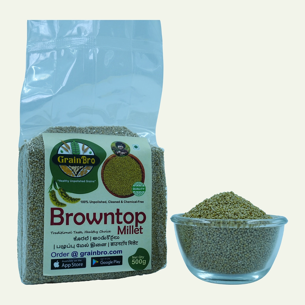 Browntop Millet