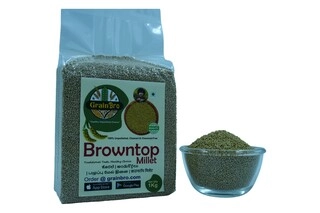 Browntop Millet