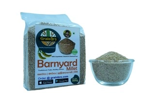 Barnyard Millet