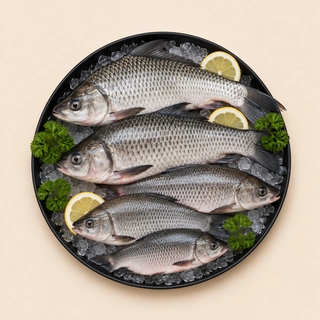Fresh Water Fish