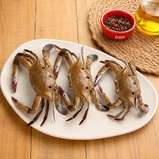 Dot Crab (ಡಾಟ್ ಏಡಿ)