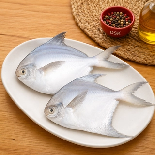 White Pomfret (ಬಿಳಿ ಮಾಂಜಿ)