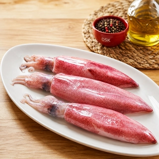 Squid (ಸ್ಕ್ವಿಡ್)