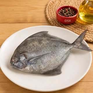Black Pomfret (ಕಪ್ಪು ಮಾಂಜಿ)