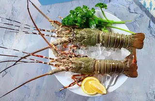 Lobster (ಲಾಬ್ಸ್ಟರ್)