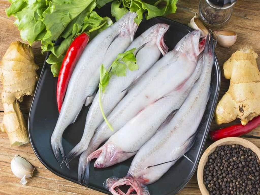 Bombil Fish