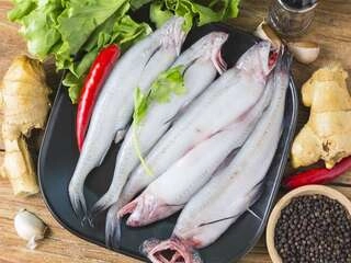 Bombil Fish