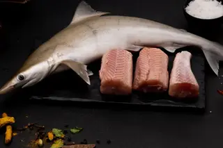 Baby Shark
