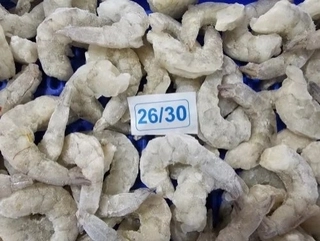 Frozen Prawns