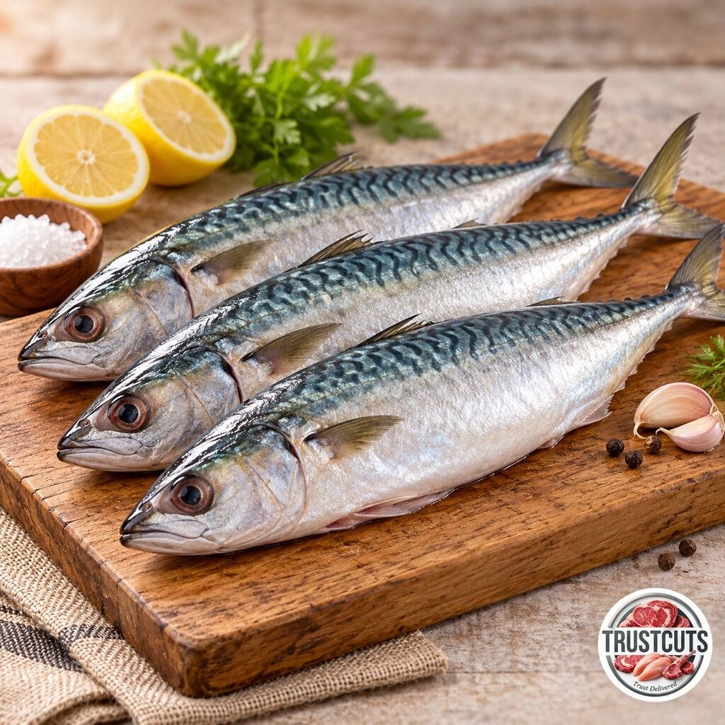 Mackerel / Bangda / ಬಂಗುಡೆ
