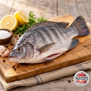 Tilapia / ತಿಲಾಪಿಯಾ