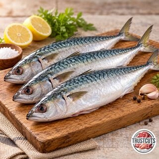 Mackerel / Bangda / ಬಂಗುಡೆ
