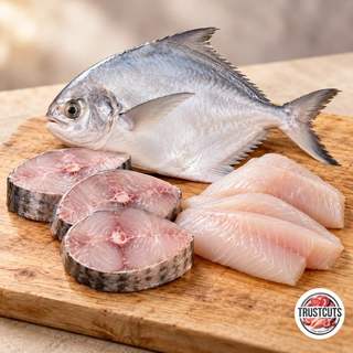 Sea Fish