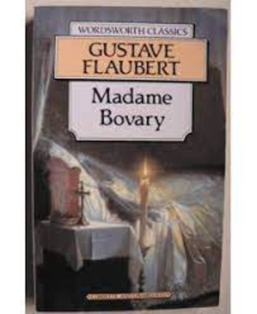 Madame Bovary (used, paperback, good condition)
