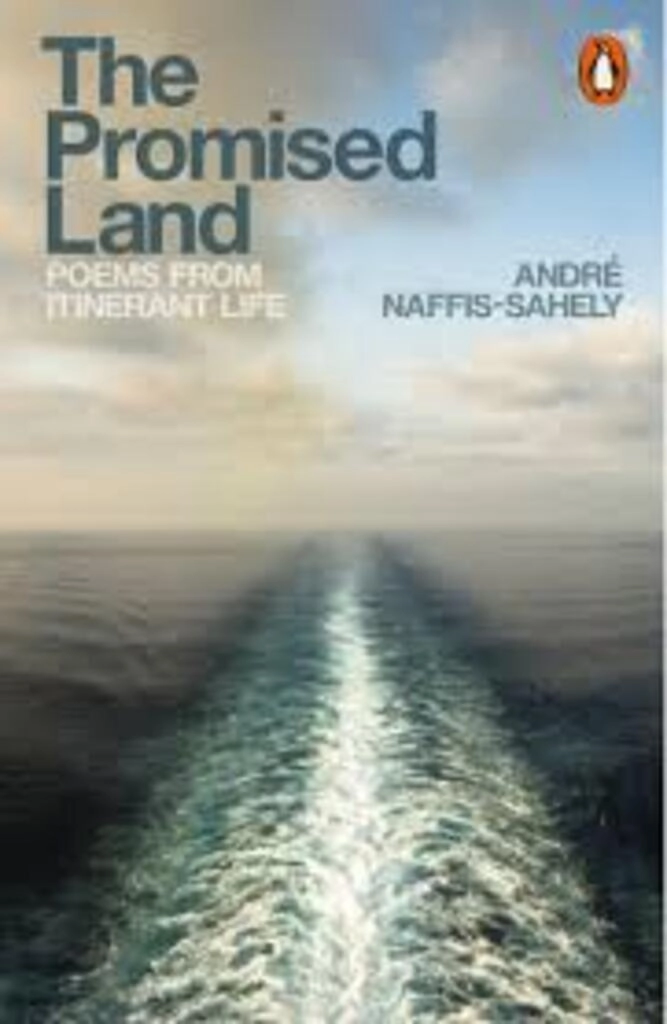 The Promised Land (used, paperback, very good condition)