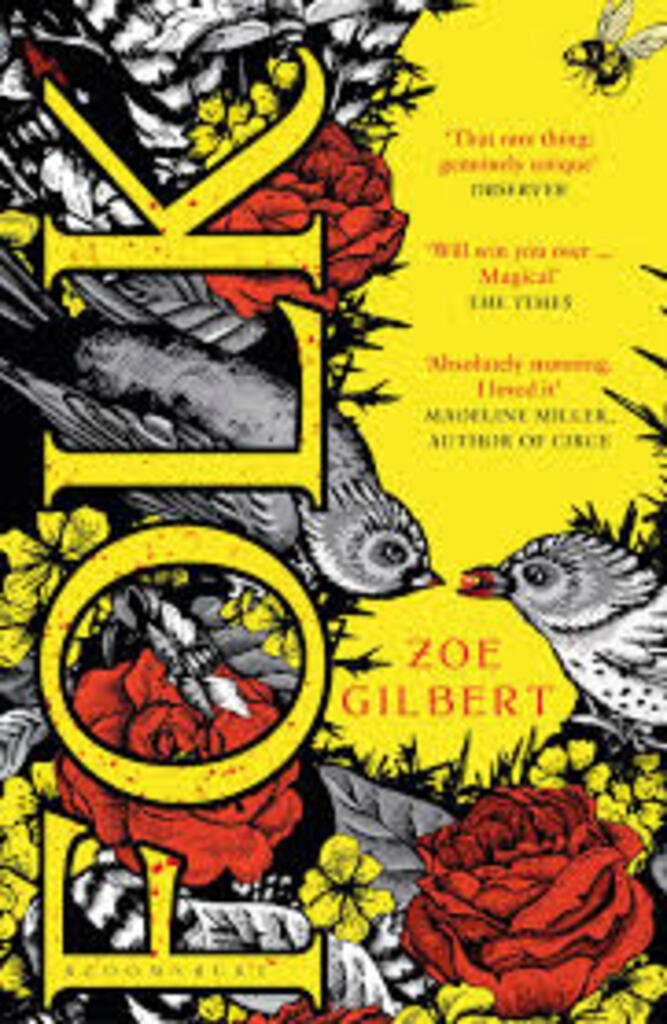 Folk (used, paperback, good condition)