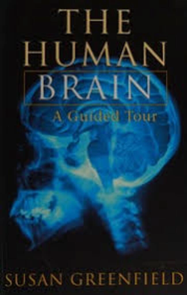 The Human Brain (used, paperback, good condition)