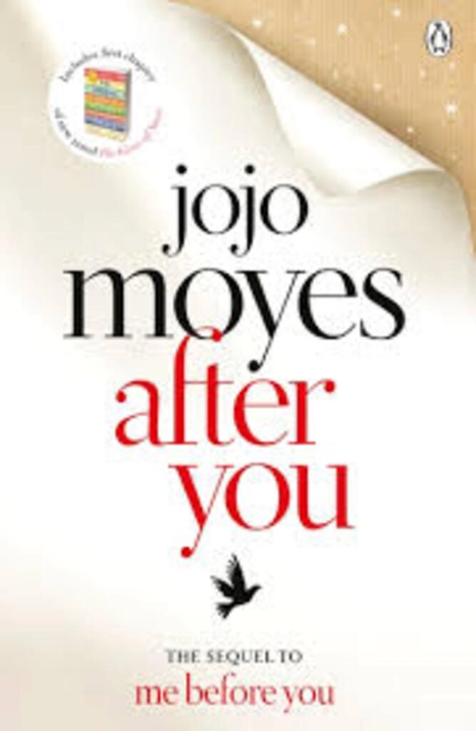 After You (used, paperback, good condition)