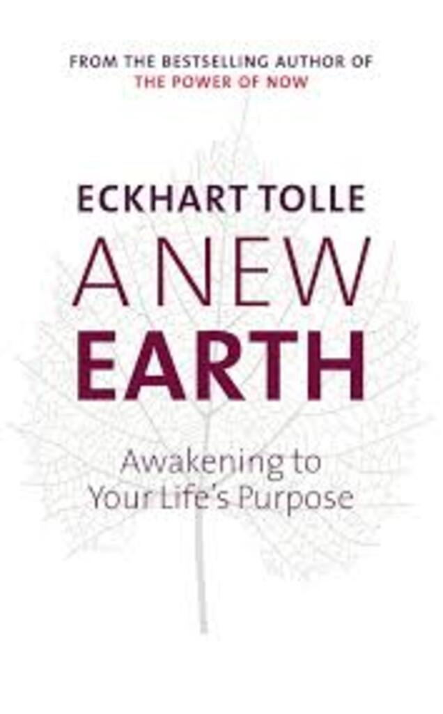 A New Earth (used, hardcover, good condition)