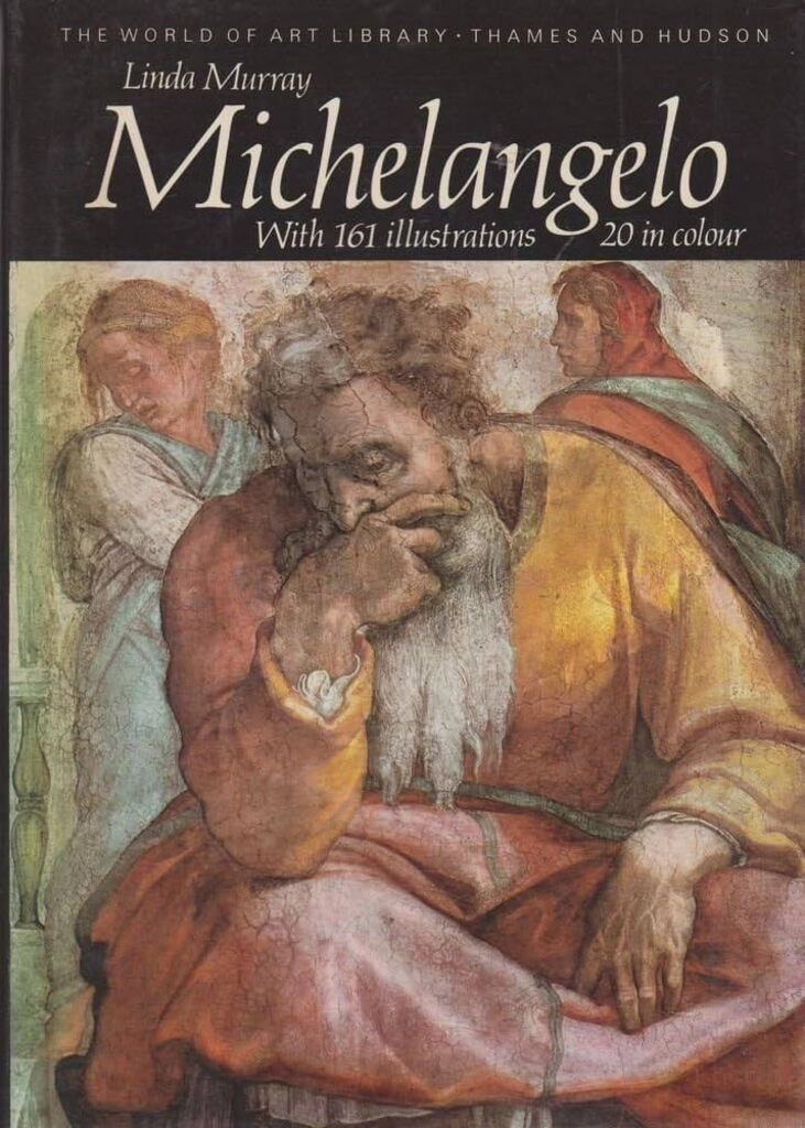 Michelangelo (paperback, used, good condition)