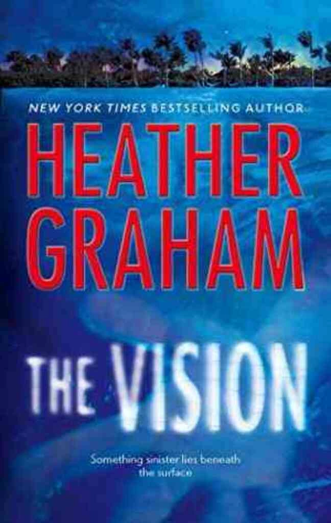 The Vision (used, paper back, good condition)