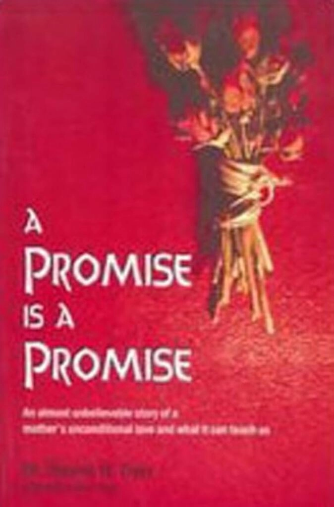 A Promise is a Promise (used, paper back, good condition)