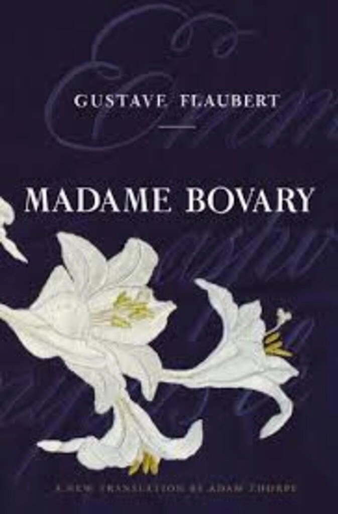 Madame Bovary (used,hard cover,good condition)