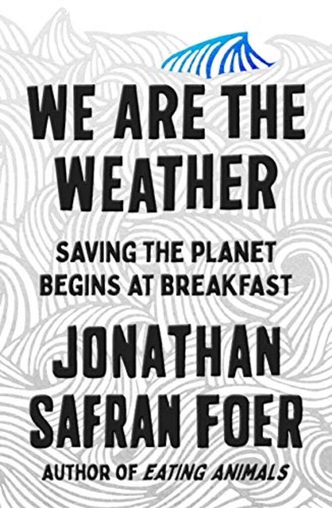 We are the weather (used,hard cover, good condition)
