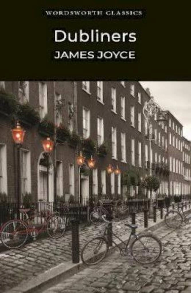 dubliners (used,paper back,good condition)