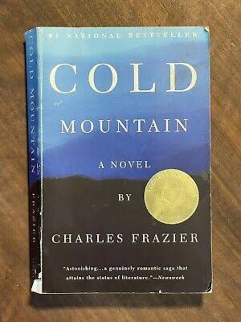 cold mountain a novel (used,paper back, good condition)