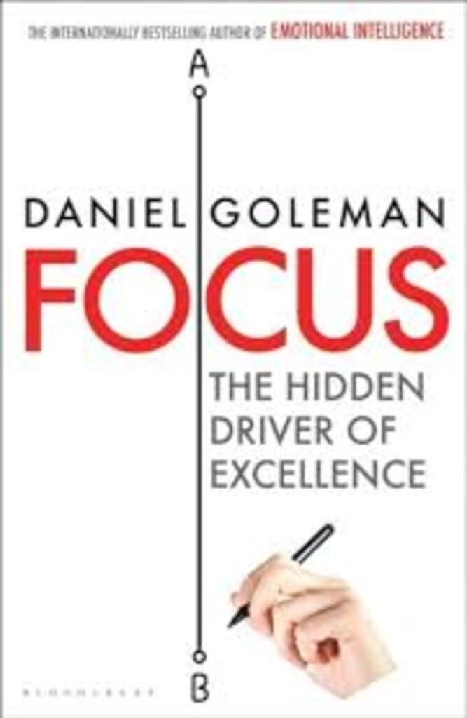 focus the hidden driver of excellence (used,paper back, good condition)