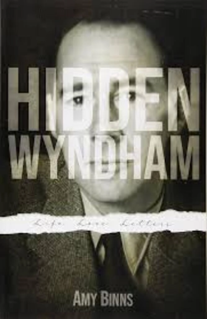 Hidden wyndham (used,paper back,good condition)
