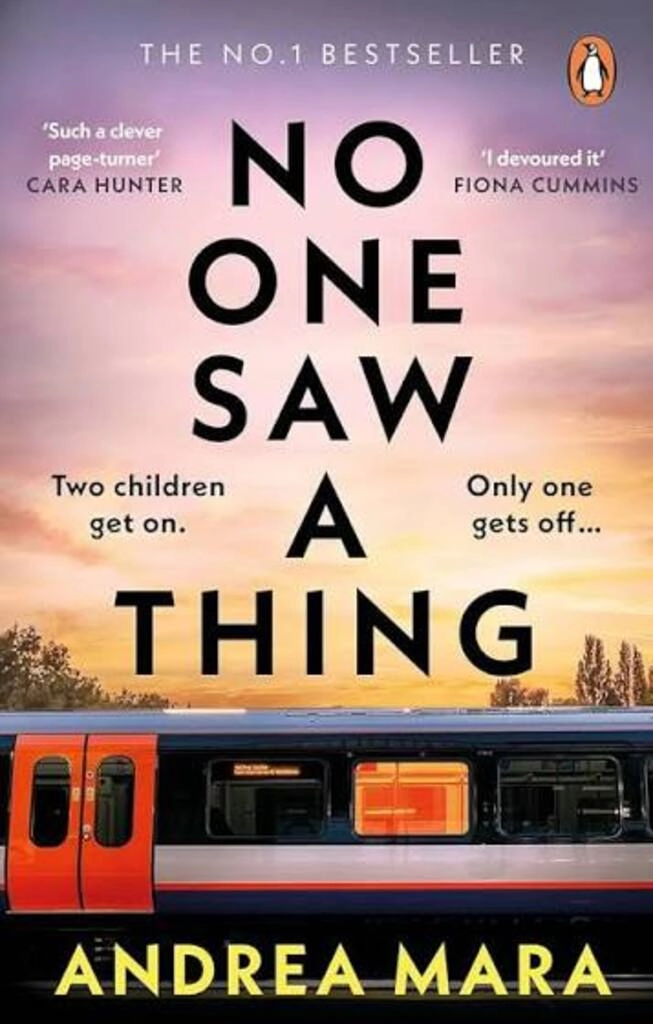 no one saw a thing (used,paper back, good condition)