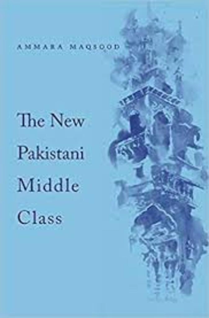 the new pakistani middle class (used,hard cover,good condition)