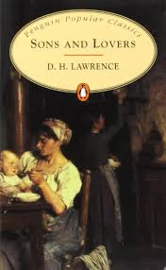 sons and lovers (used,paper back, good condition)