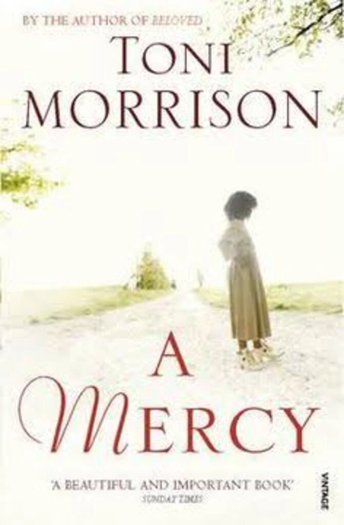A MERCY  (used,paperback,good condition)