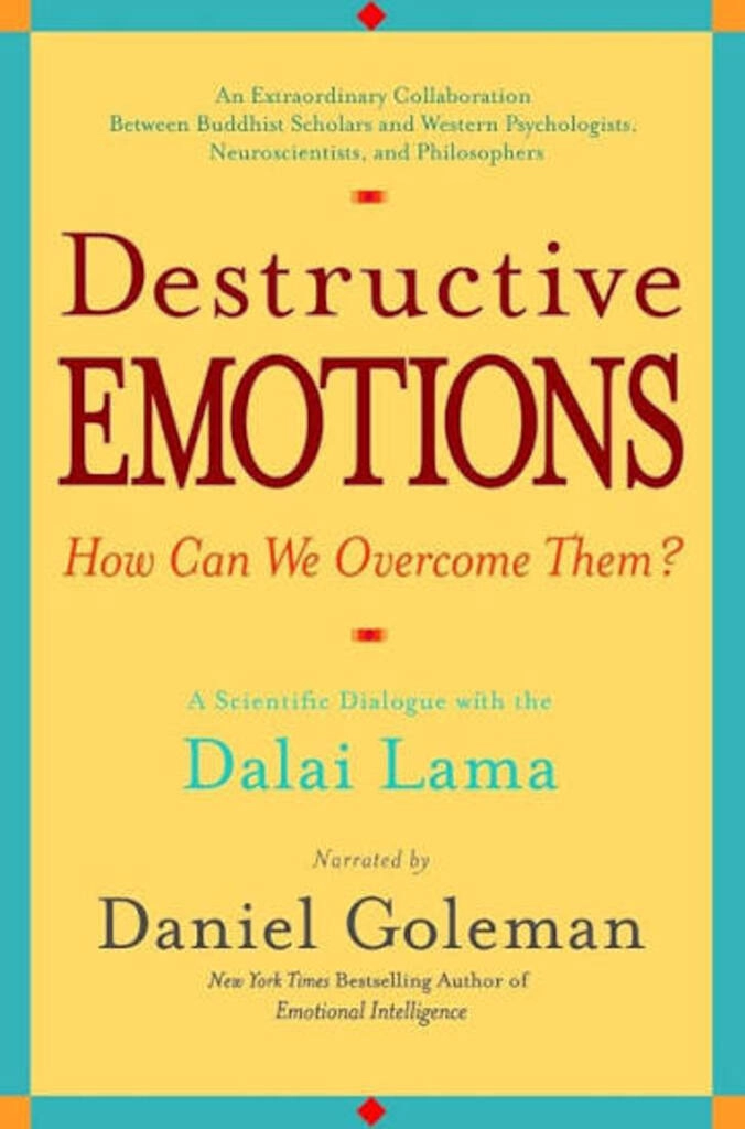 Destructive Emotions: And How We can Overcome Them (used, paperback, good condition)