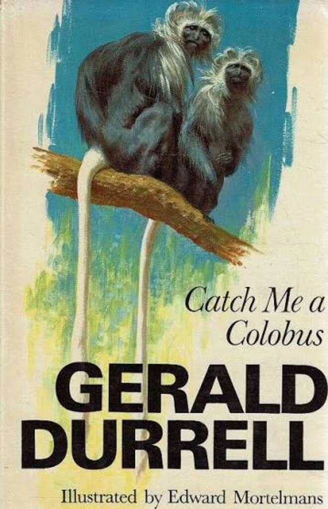 catch me a colobus (used,hard cover,good condition)