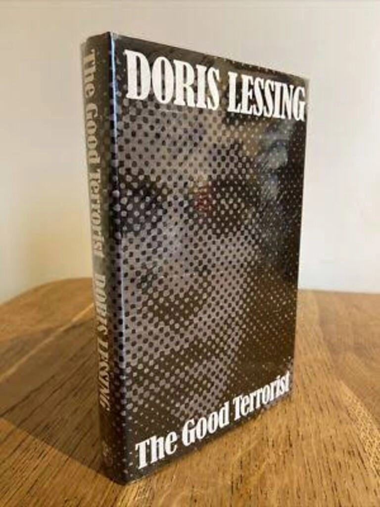 the good terrorist (used,hard cover,good condition)