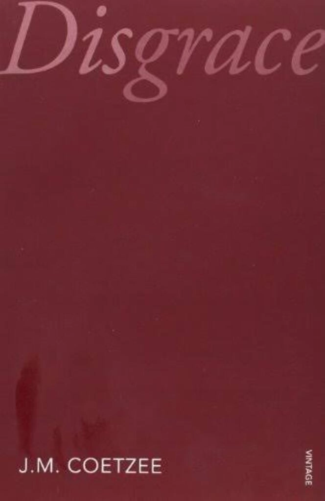 Disgrace ( used, good condition, paperback )