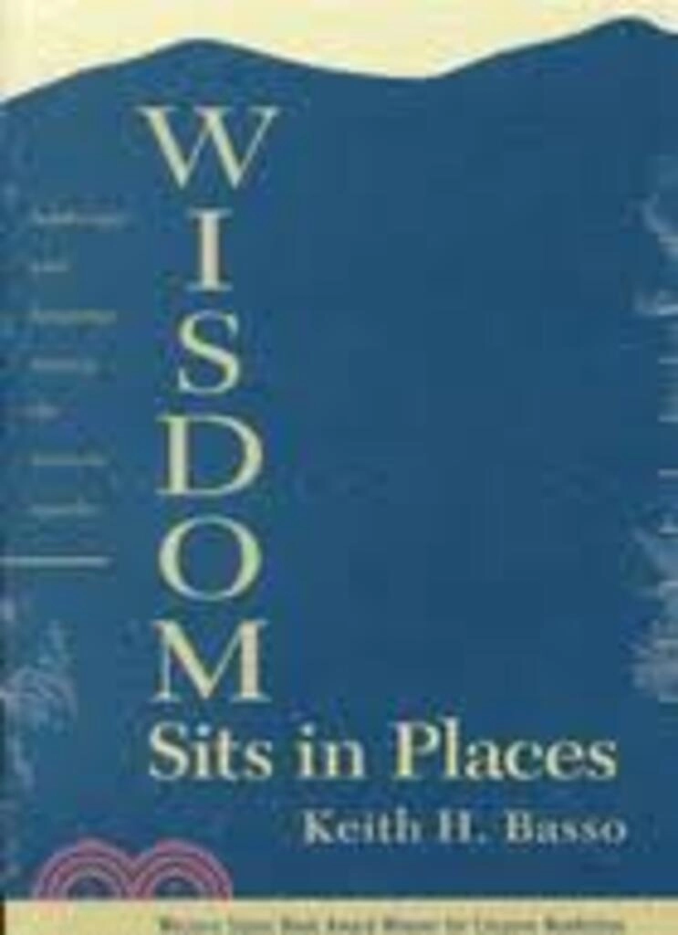 wisdom sits in places (used,paper back, good condition)