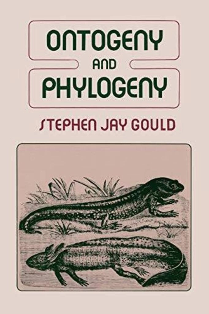 ontogeny and phylogeny (used,paper back, good condition)