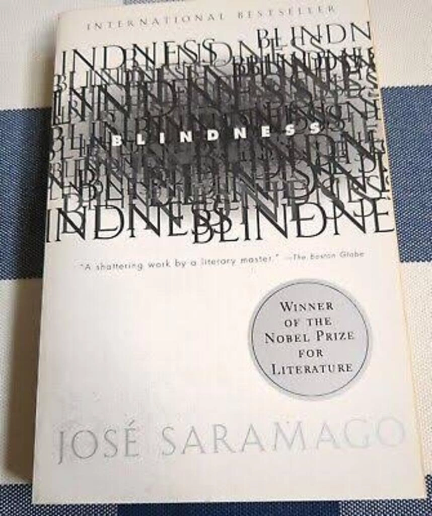 blindness (used,paper back, good condition)