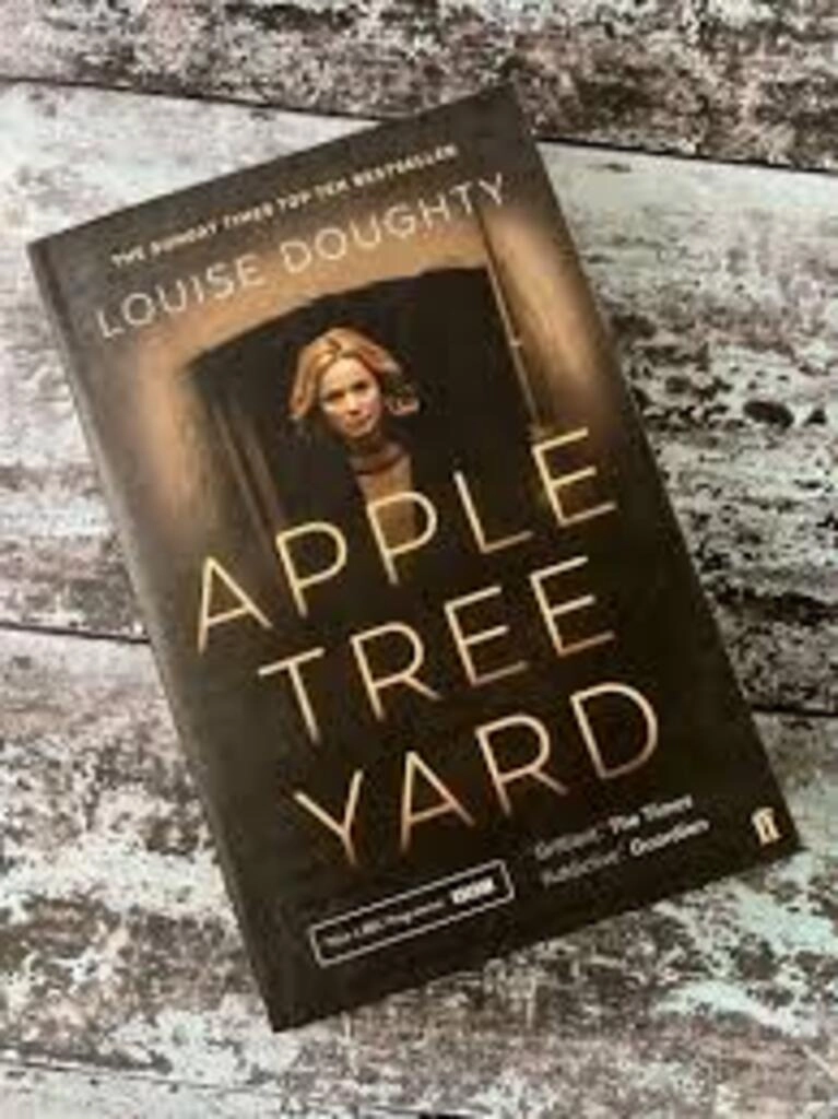 apple tree yard (used,paper back, good condition)