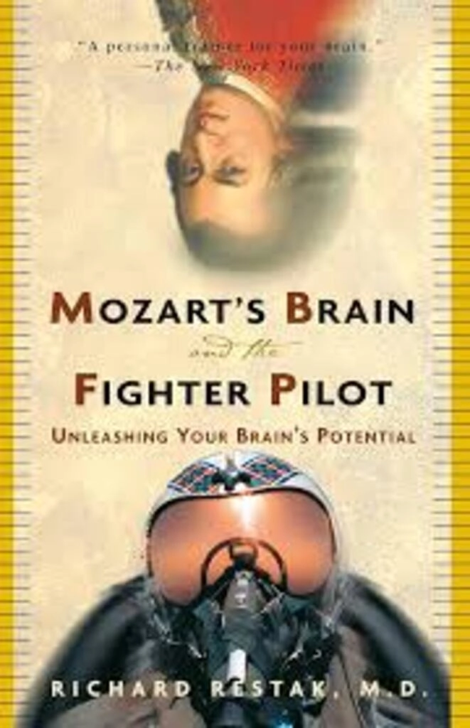 mozart's brain and the fighter pilot (used,paper back, good condition)