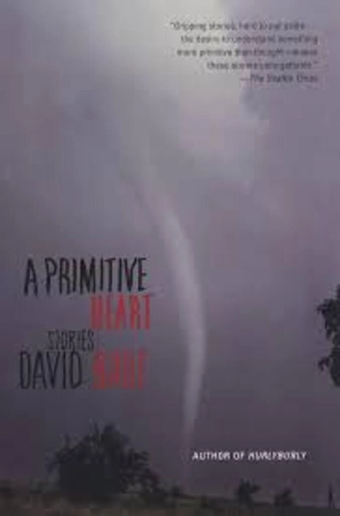 A primitive heart (used,paper back, good condition)