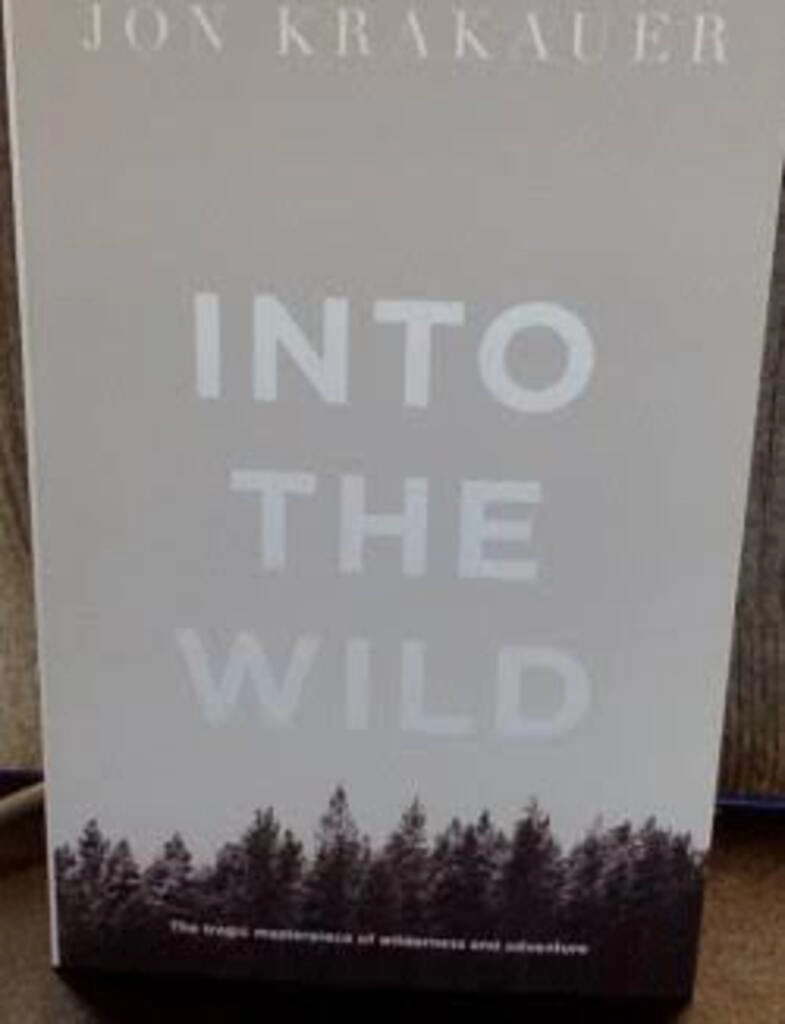 into the wild (used,paper back, good condition)