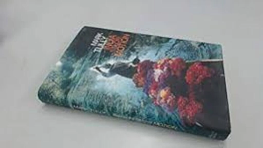 India In Slow Motion (used, paperback, good condition)