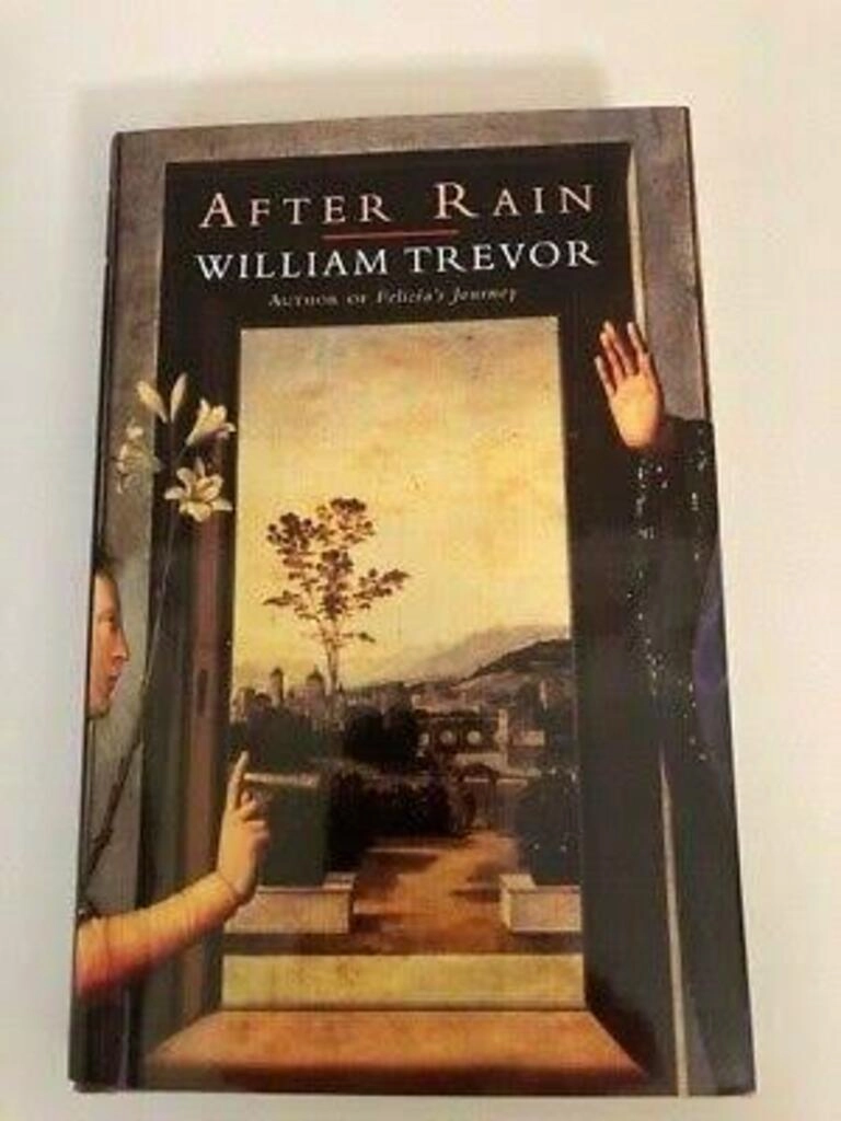 after rain (used,hard cover,good condition)