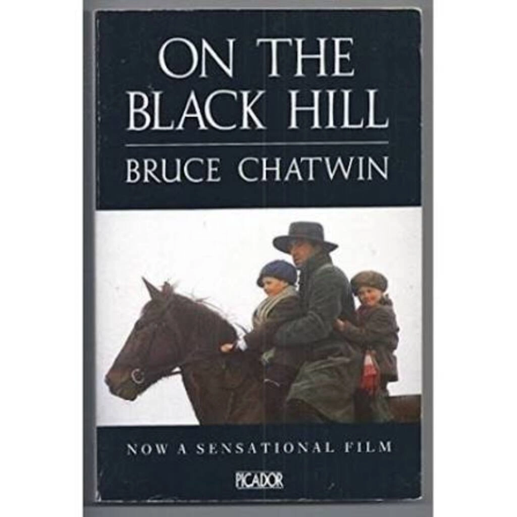 On The Black Hill (used, paperback, good condition)